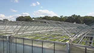 Kwekerij De Stadsweiden - Deck renovation - 4,000 m²