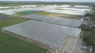 Drenthe Flowers - 13.342 m²