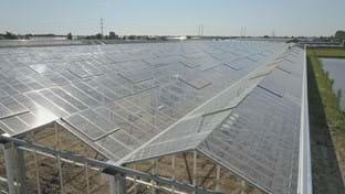 Coert van Dijk Roses - 25.206 m²