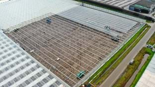 Cucumber nursery Grubben - Roof renovation - 29,736 m²