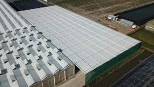 Luiten Kwekerij - Schermhal - 2.706 m²