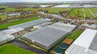 Hoogeveen - 6.025 m²