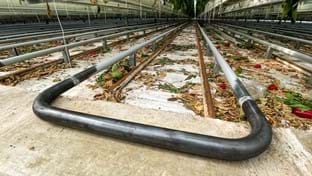 Vijverberg B.V. - Remplacer les tuyaux de chauffage - 83.312 m²