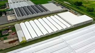 Flower Direct - Fase 2 - 8.354 m²