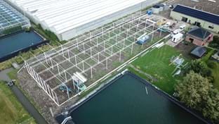 Kwekerij Maron - 10.137 m²