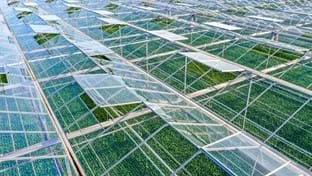 Ortolanda - Greenhouse relocation -  24.192 m²