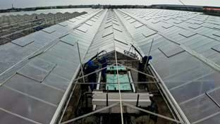 Cucumber nursery Grubben - Roof renovation - 29,736 m²