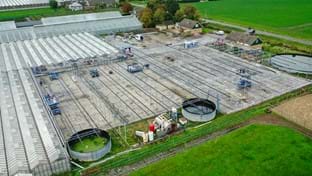 Kwekerij Aris - 5.645 m²