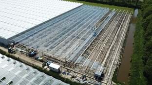 VDA Plant - 7.822 m²