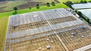 Berries Direct Farming - 64.560 m²