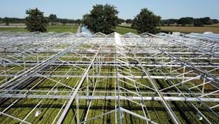 Kwekerij De Stadsweiden - Deck renovation - 4,000 m²