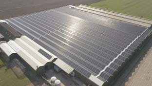 Venhorst - 7.072 m²