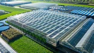 Hoogeveen - 6.025 m²