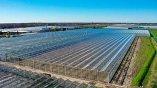 Klimplant CS - 12.803 m²