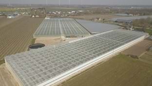 Pippel Bramen - 9.611 m²