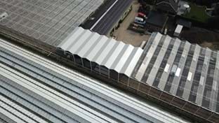 Kwekerij Maron - 10.137 m²