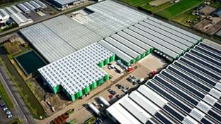 Aalsmeer - 4.759 m²