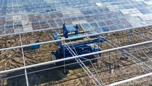 Vanda Flowers - 8.984 m²