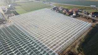 Neraco BVBA - 24.180 m²