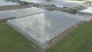 Drenthe Flowers - 13.342 m²