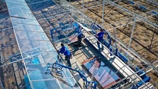 Brabander - Roof renovation - 8.503 m²