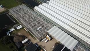 Kwekerij Maron - 10.137 m²