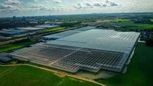 Schenkeveld – Terrassenrenovierung – 98.410 m²