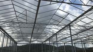 Haygrove - 9.664 m²