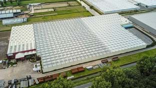 OTM Orchideen - Renovierung des Gewächshauses - 15.702 m²