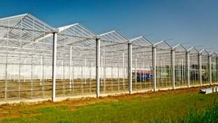 Pippel Bramen - Phase 2 - 7.577 m²