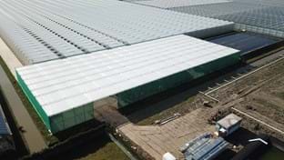 Luiten Kwekerij - Schermhal - 2.706 m²