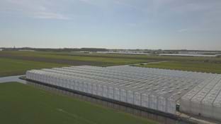 Esperit Plant - 7.729 m²