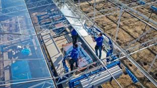 Brabander - Roof renovation - 8.503 m²