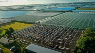 Brabander - 7.296 m²