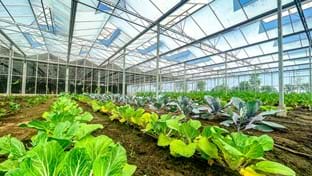 Hardeman - 2.815 m²