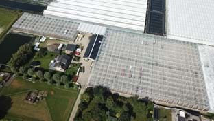 Kwekerij Maron - 10.137 m²