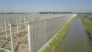 Coert van Dijk Roses - 25.206 m²