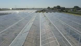 Coert van Dijk Roses - 25.206 m²