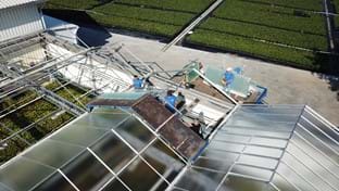 Kwekerij De Stadsweiden -  Dek renovatie - 4.067 m²
