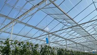 Pippel Bramen - 9.611 m²