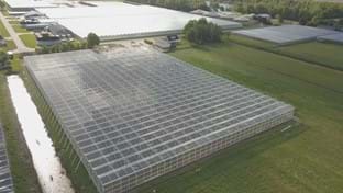 Drenthe Flowers - 13.342 m²