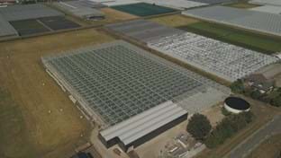 Drenthe Flowers - 13.342 m²