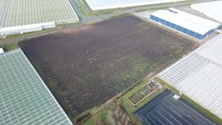 Ortolanda - Greenhouse relocation -  24.192 m²