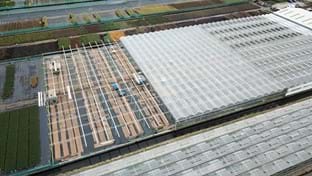 Boomkwekerij Out - 6.189 m²