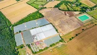 Berries Direct Farming - 64.560 m²