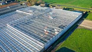 Kwekerij Aris - 5.645 m²