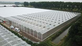 VDA Plant - 7.822 m²