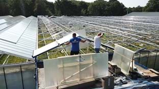 Kwekerij De Stadsweiden - Deck renovation - 4,000 m²