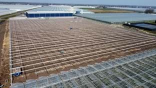 Ortolanda - Greenhouse relocation -  24.192 m²