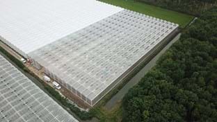 VDA Plant - 7.822 m²